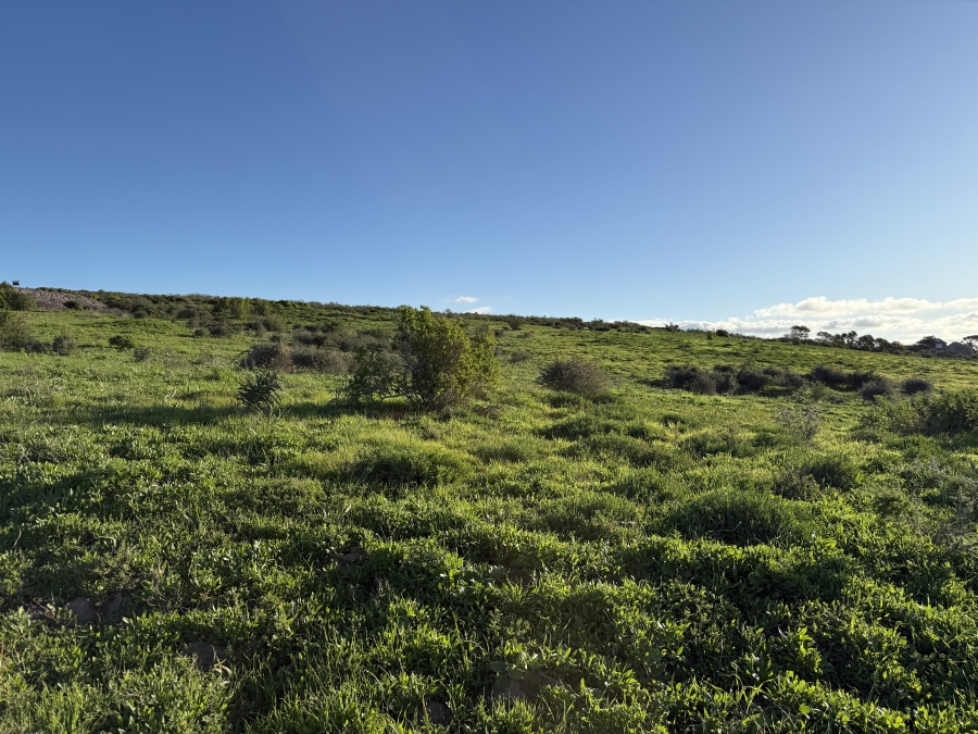 0 Bedroom Property for Sale in Olifantskop Western Cape